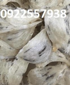 Tổ yến thô